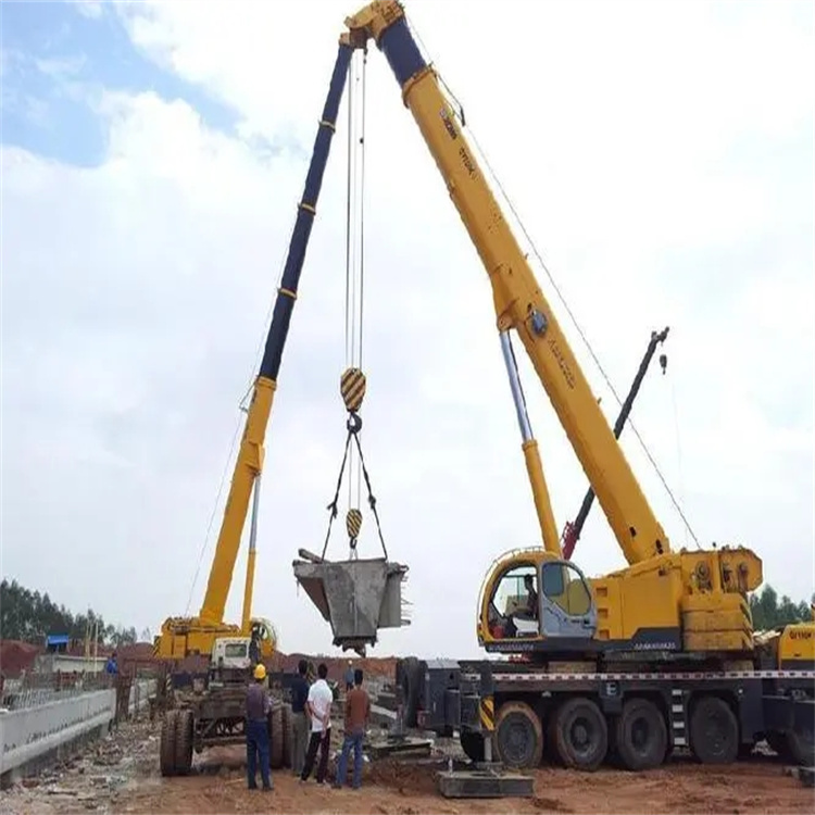 大新小型吊机出租电话|厂房设备吊装方案|24小时服务覆盖