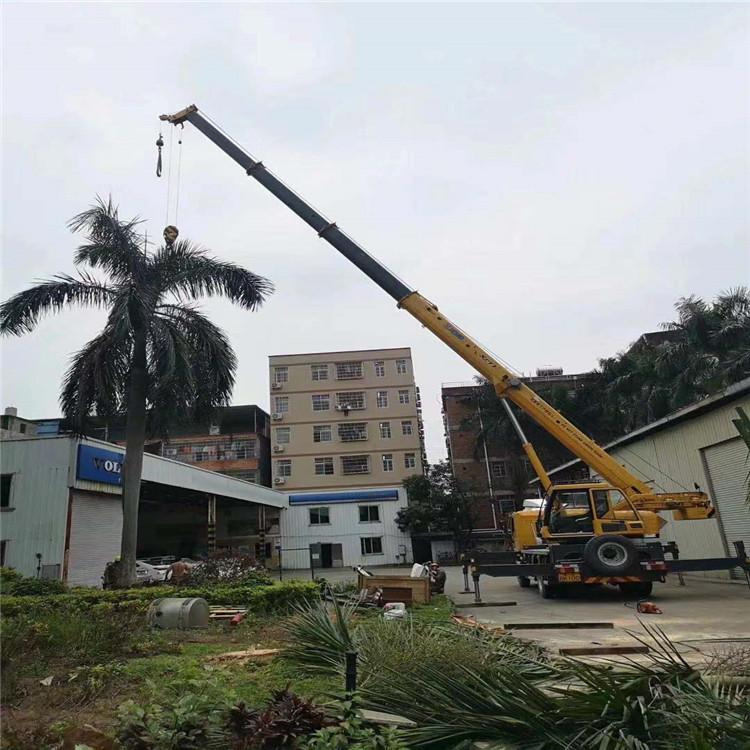 大新吊车吊大树几种方法